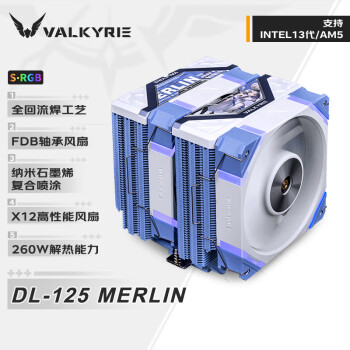 瓦爾基里(VALKYRIE）DL125MERLINVKCPU
