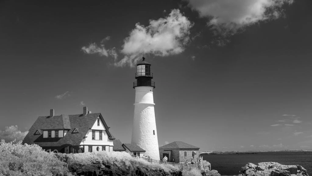 Lighthouseパフォーマンスレポートのサンプル画像。LCP・TBT・CLSの各項目が数値で示されている
